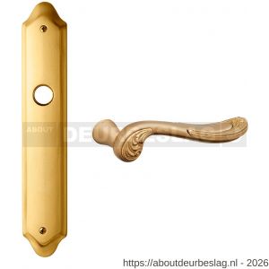 Mandelli1953 1020 WC57/5 Lord deurkruk op langschild 268x48 mm WC57/5 mat messing-messing gepolijst - R21014893 - afbeelding 1