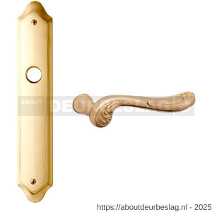 Mandelli1953 1020 WC63/8 Lord deurkruk op langschild 268x48 mm WC63/8 messing gepolijst-mat messing - R21014982 - afbeelding 1