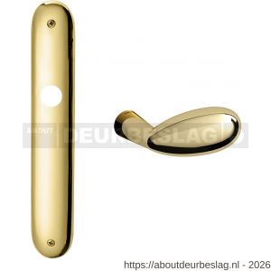 Mandelli1953 1090R PC92 Led deurkruk gatdeel op langschild 238x40 mm PC92 rechtswijzend messing gepolijst - R21015608 - afbeelding 1