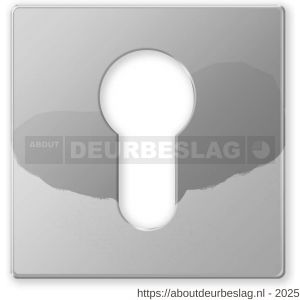 Mandelli1953 1291/BY cilinderrozet chroom - R21011272 - afbeelding 1