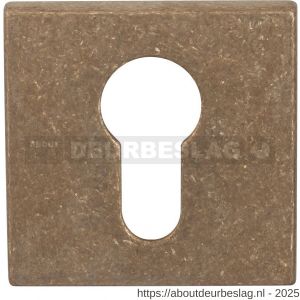 Mandelli1953 1291/BY cilinderrozet 50x50xx6 mm vierkant messing getrommeld - R21016697 - afbeelding 1