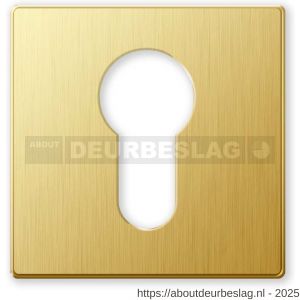 Mandelli1953 1291/BY cilinderrozet 50x50xx6 mm mat messing - R21011277 - afbeelding 1
