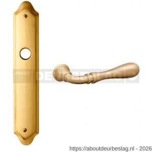 Mandelli1953 1420 WC57/5 Gou deurkruk op langschild 260x47 mm WC57/5 mat messing - R21014776 - afbeelding 1