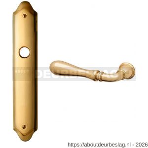 Mandelli1953 1420L BB56 Gou deurkruk gatdeel op langschild 260x47 mm BB56 linkswijzend messing gepolijst - R21015542 - afbeelding 1