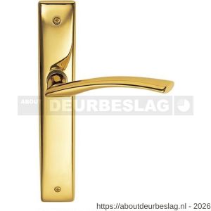 Mandelli1953 350 BB72 Zoom deurkruk op langschild BB72 messing gepolijst - R21017653 - afbeelding 1