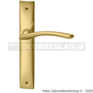 Mandelli1953 350 WC57/5 Zoom deurkruk op langschild 240x40 mm WC57/5 mat messing - R21014860 - afbeelding 1