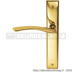 Mandelli1953 350L BB56 Zoom deurkruk gatdeel op langschild BB56 linkswijzend messing gepolijst - R21017659 - afbeelding 1