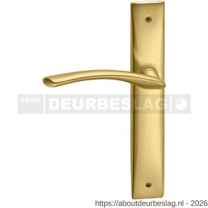 Mandelli1953 350L blind Zoom deurkruk gatdeel op langschild 240x40 mm blind linkswijzend mat messing - R21015471 - afbeelding 1