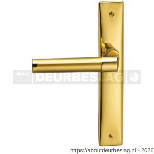 Mandelli1953 360L PC55 Tuc deurkruk gatdeel op langschild PC55 linkswijzend messing gepolijst-mat messing - R21017711 - afbeelding 1