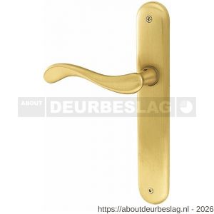 Mandelli1953 450L PC85 Ande deurkruk gatdeel op langschild PC85 linkswijzend mat messing - R21017911 - afbeelding 1