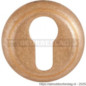 Mandelli1953 651/BY cilinderrozet 51x10 mm messing getrommeld - R21016700 - afbeelding 1
