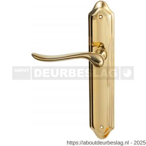 Mandelli1953 690L PC55 Rondo deurkruk gatdeel op langschild 260x47 mm PC55 linkswijzend messing gepolijst - R21013606 - afbeelding 1
