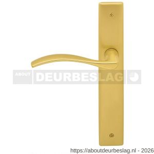 Mandelli1953 710L blind Zen deurkruk gatdeel op langschild blind linkswijzend mat messing-messing gepolijst - R21018165 - afbeelding 1