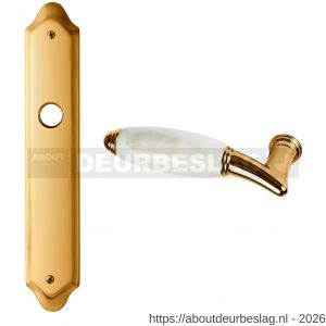 Mandelli1953 8000L BB72 Paros deurkruk gatdeel op langschild BB72 linkswijzend 24k goud - R21019631 - afbeelding 1