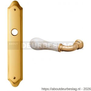 Mandelli1953 8010L blind Naxos deurkruk gatdeel op langschild blind linkswijzend messing gepolijst - R21019754 - afbeelding 1