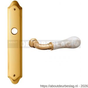 Mandelli1953 8010R BB56 Naxos deurkruk gatdeel op langschild BB56 rechtswijzend messing gepolijst - R21019762 - afbeelding 1