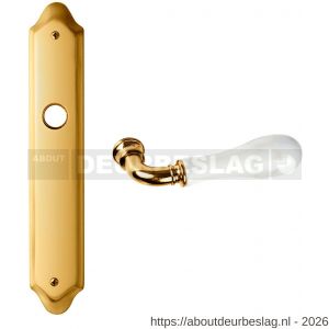 Mandelli1953 8010R BB72 Naxos deurkruk gatdeel op langschild BB72 rechtswijzend 24k goud - R21019788 - afbeelding 1