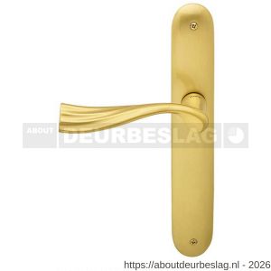 Mandelli1953 990L PC85 River deurkruk gatdeel op langschild 238x40 mm PC85 linkswijzend mat messing - R21013766 - afbeelding 1