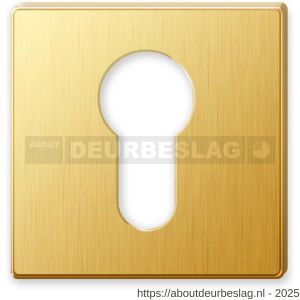 Mandelli1953 1351/BY cilinderrozet 51x10 mm 24k goud - R21011281 - afbeelding 1