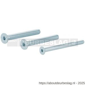 GPF Bouwbeslag GPFAG0332 binnenzeskantbout set PK DIN 7991 10.9 galvanisch verzinkt voor set veiligheids schilden tot deurdikte 104 mm 2x M8x110-1x M6x110 mm - R21019937 - afbeelding 1