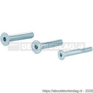 GPF Bouwbeslag AG0333 binnenzeskantbout set PK DIN 7991 10.9 galvanisch verzinkt voor set veiligheids schilden tot deurdikte 44 mm 2x M8x45-1x M6x50 mm - R21016461 - afbeelding 1