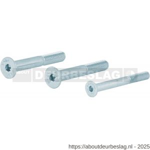 GPF Bouwbeslag AG0334 binnenzeskantbout set PK DIN 7991 10.9 galvanisch verzinkt voor set veiligheids schilden tot deurdikte 54 mm 2x M8x60/1x M6x60 mm gegalvaniseerd - R21016472 - afbeelding 1