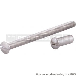 GPF Bouwbeslag AG0357 RVS patentbout met huls M4x60 mm voor deurdikte 57-63 mm RVS geborsteld - R21006229 - afbeelding 1