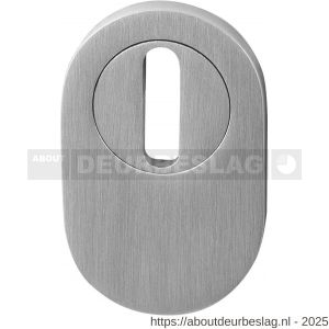 GPF Bouwbeslag AG0410.09 anti-kerntrek insert RVS mat voor kerntrekbeveiliging veiligheids schilden RVS geborsteld - R21008442 - afbeelding 1