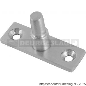 GPF Bouwbeslag AG0600.09 pen voor raamuitzetter RVS geborsteld - R21007815 - afbeelding 1