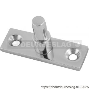 GPF Bouwbeslag AG0600.49 pen voor raamuitzetter RVS gepolijst - R21007816 - afbeelding 1