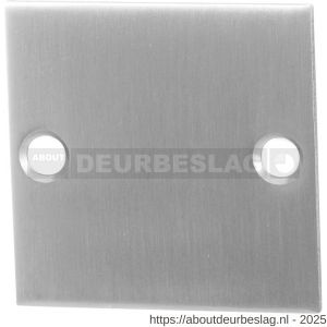 GPF Bouwbeslag RVS GPF0900.08 blind plat vierkant rozet 50x50x2 mm RVS geborsteld - R21003503 - afbeelding 1