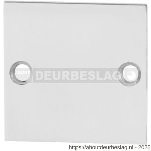 GPF Bouwbeslag RVS GPF0900.48 blind plat vierkant rozet 50x50x2 mm RVS gepolijst - R21003508 - afbeelding 1