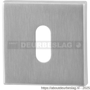 GPF Bouwbeslag RVS GPF0901.02 sleutelrozet vierkant 50x50x8 mm RVS geborsteld - R21003725 - afbeelding 1
