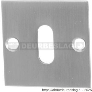 GPF Bouwbeslag RVS GPF0901.08 sleutelrozet plat vierkant 50x50x2 mm RVS geborsteld - R21003732 - afbeelding 1