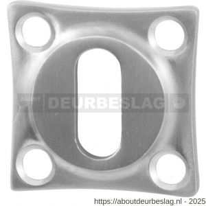 GPF Bouwbeslag RVS GPF0901.09 sleutelrozet klassiek 38x38x5 mm RVS geborsteld - R21003733 - afbeelding 1