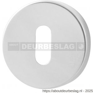 GPF Bouwbeslag RVS GPF0901.45 sleutelrozet rond 50x6 mm RVS gepolijst - R21003736 - afbeelding 1