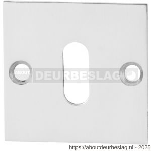 GPF Bouwbeslag RVS GPF0901.48 sleutelrozet plat vierkant 50x50x2 mm RVS gepolijst - R21003739 - afbeelding 1