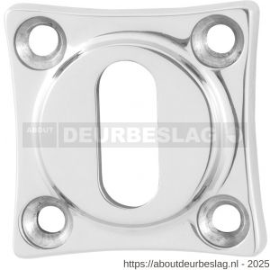 GPF Bouwbeslag RVS GPF0901.49 sleutelrozet klassiek 38x38x5 mm RVS gepolijst - R21003740 - afbeelding 1
