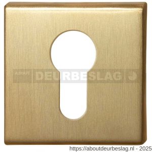 GPF Bouwbeslag PVD GPF0902.02P4 cilinderrozet vierkant 50x50x8 mm PVD mat messing - R21003575 - afbeelding 1