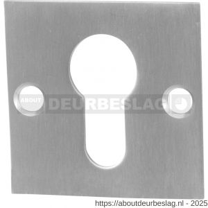GPF Bouwbeslag RVS GPF0902.08 cilinderrozet plat vierkant 50x50x2 mm RVS geborsteld - R21003579 - afbeelding 1