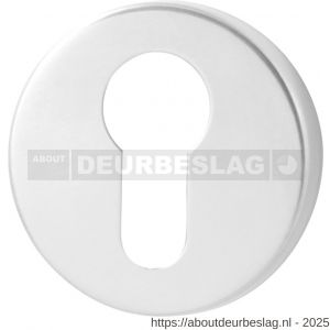 GPF Bouwbeslag RVS GPF0902.40 cilinderrozet rond 50x8 mm RVS gepolijst - R21003566 - afbeelding 1
