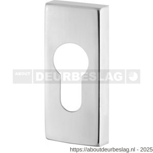 GPF Bouwbeslag RVS GPF0902.41 cilinderrozet rechthoekig 70x32x10 mm RVS gepolijst - R21008285 - afbeelding 1