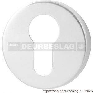 GPF Bouwbeslag RVS GPF0902.45 cilinderrozet rond 50x6 mm RVS gepolijst - R21003564 - afbeelding 1