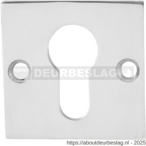 GPF Bouwbeslag RVS GPF0902.48 cilinderrozet plat vierkant 50x50x2 mm RVS gepolijst - R21003561 - afbeelding 1