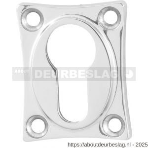 GPF Bouwbeslag RVS GPF0902.49 cilinderrozet klassiek 48x38x5 mm RVS gepolijst - R21003560 - afbeelding 1