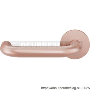 GPF Bouwbeslag Entree GPF105VRT2L U-model 19 mm deurkruk gatdeel op rozet 53x6 mm linkswijzend Blush - R21019969 - afbeelding 1