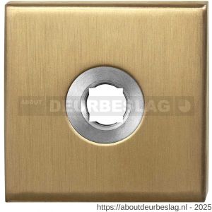 GPF Bouwbeslag PVD GPF1100.02P4 vierkant click rozet 50x50x8 mm PVD mat messing - R21003652 - afbeelding 1