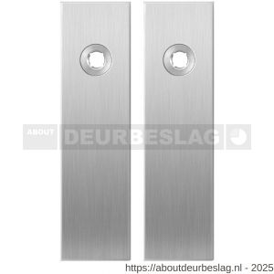 GPF Bouwbeslag RVS GPF1100.15 blind kortschild rechthoekig enkelverend 169x46x8,5 mm blind RVS geborsteld - R21003886 - afbeelding 1