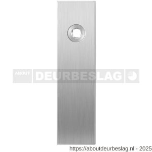 GPF Bouwbeslag RVS GPF1100.15L blind kortschild gatdeel rechthoekig 169x46x8,5 mm blind linkswijzend RVS geborsteld - R21003982 - afbeelding 1