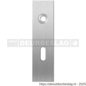 GPF Bouwbeslag RVS GPF1100.15R BB56 kortschild gatdeel rechthoekig 169x46x8,5 mm BB56 rechtsdraaiend RVS geborsteld - R21003988 - afbeelding 1